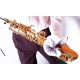 LIMPIADOR SAXO TENOR BG A30L