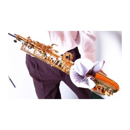 LIMPIADOR SAXO TENOR BG A30L