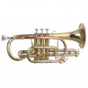 Corneta ROY BENSON CR 302