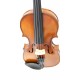 VIOLIN STENTOR STUDENT II