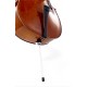 Cello Stentor Student I 4/4-3/4