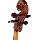 Cello Stentor Student I 1/8 - 1/10