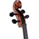 Cello Stentor Student II