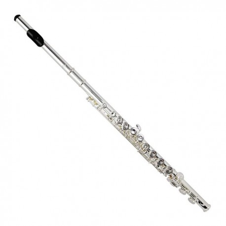 FLAUTA TREVOR JAMES VIRTUOSO RCI-GR