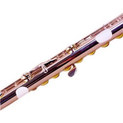 Protector de Flauta Bg A15