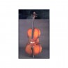 Cello Corina SC-100 1/2