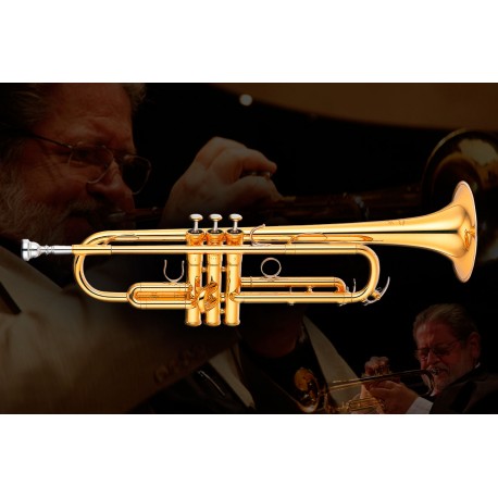 TROMPETA YAMAHA YTR 8310 Z EN SIB
