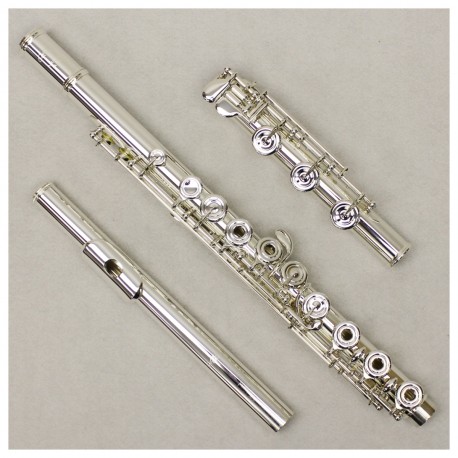 FLAUTA TRAVESERA ALTUS 907SRBE