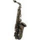 Saxofon Alto Roy Benson AS-202A
