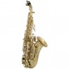Saxo soprano ROY BENSON SG- 302
