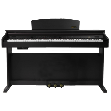 PIANO DIGITAL ARTESIA DP10E