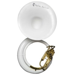 Sousafón Taylor Collins TCSA-12