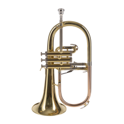 FLISCORNO AMADEUS PISTONES MONEL