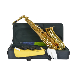 SAXO ALTO AMADEUS EN Mib